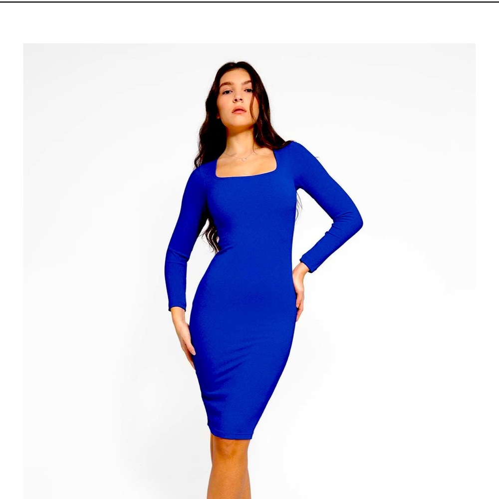 POPILUSH BRAND LONG SLEEVE MIDI DRESS (L)